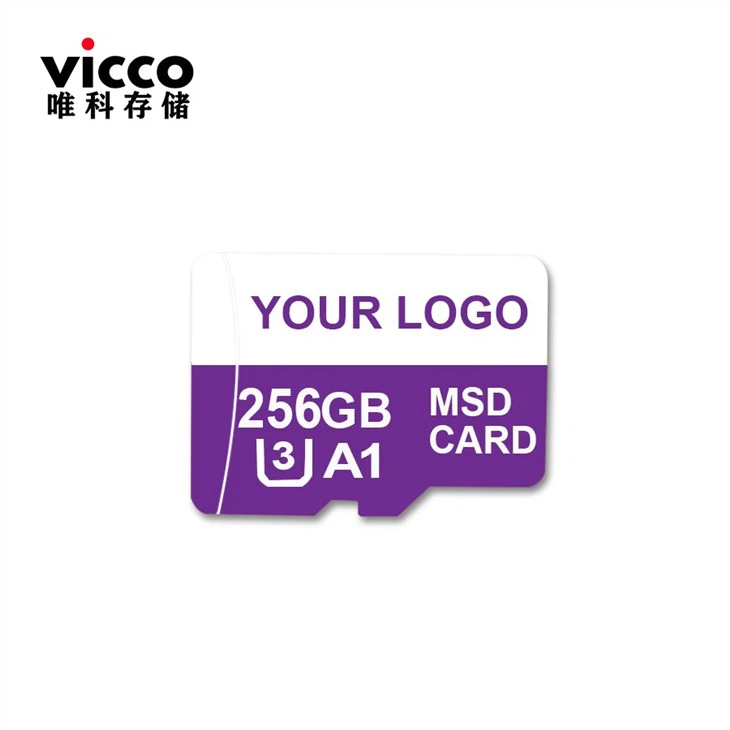 Flash Memory Card